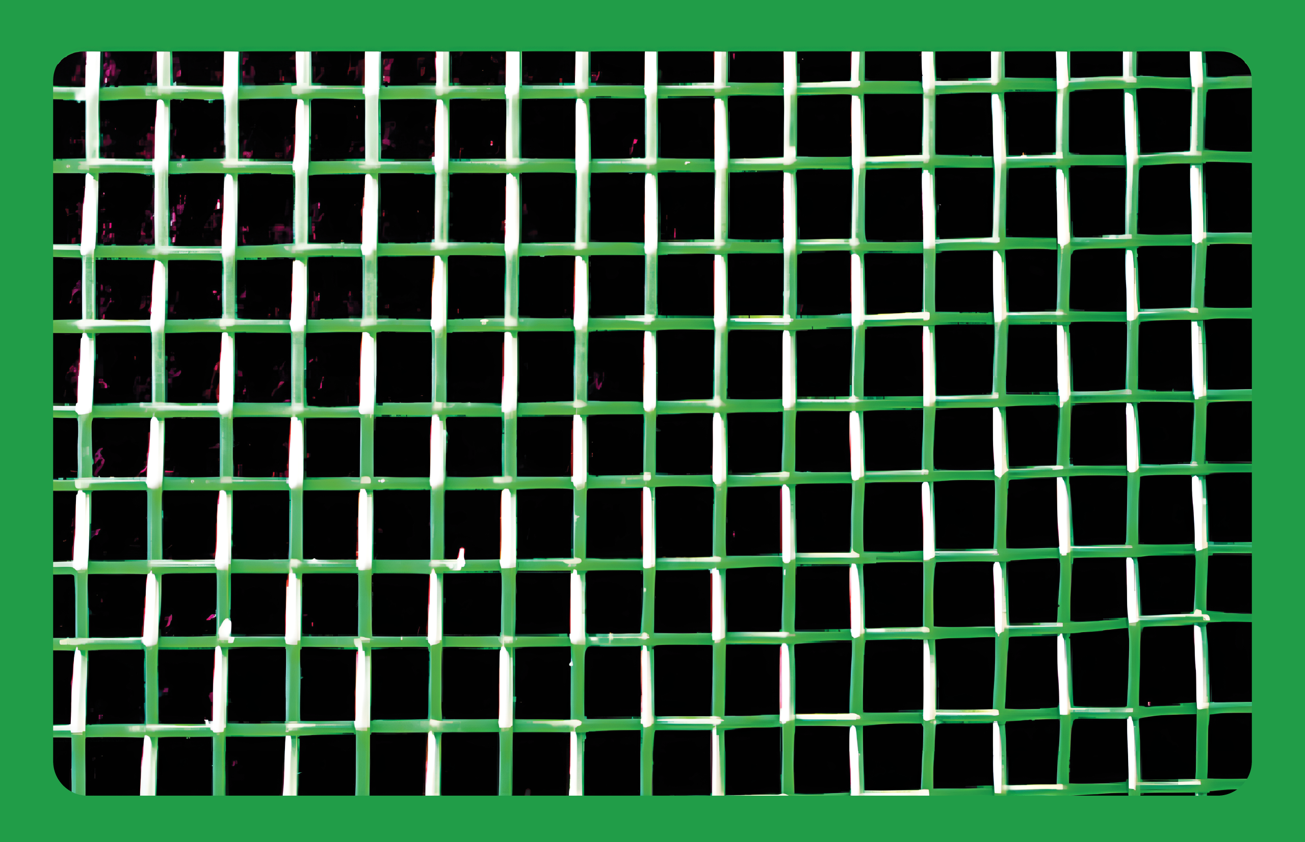 Le filet brise-vent 6x6 sert de barrière pour protéger les cultures de la vitesse du vent et empêcher les insectes d'y pénétrer.