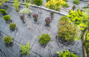 Weed Control Fabric In the Newly Created Backyard Garden
